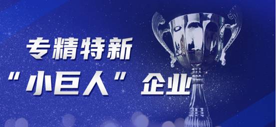 yd2333云顶电子游戏(中国)有限公司